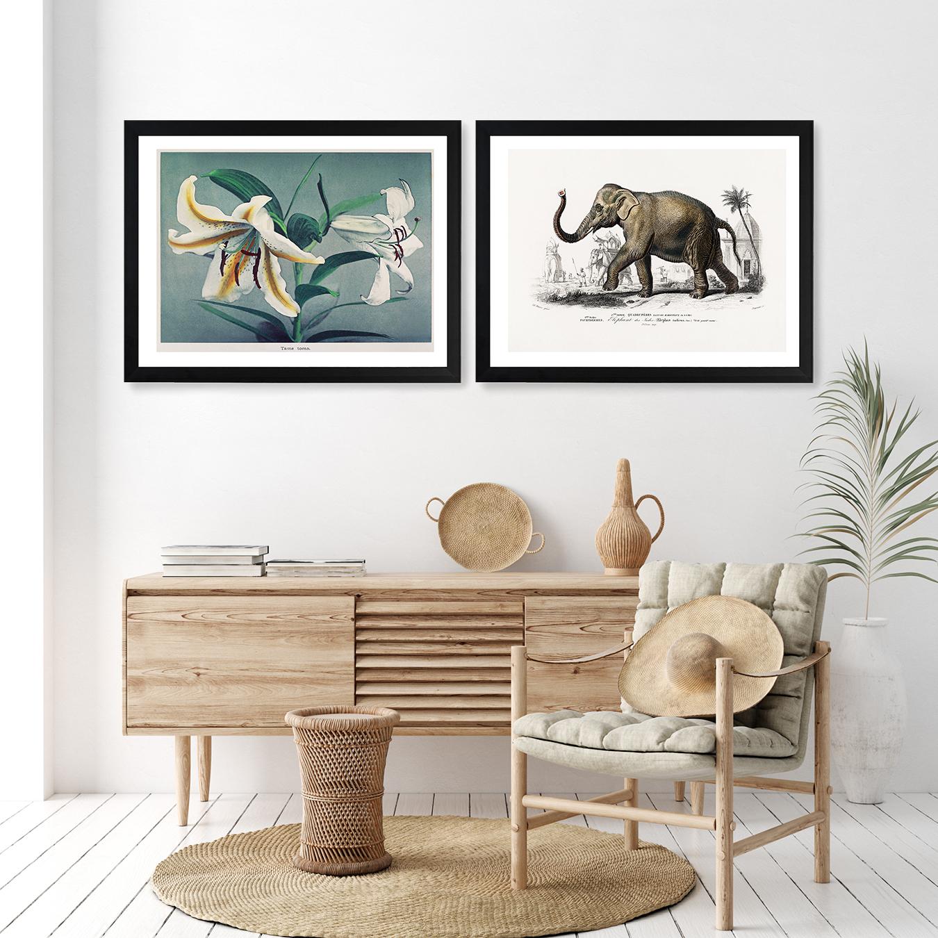 The Tropics Gallery Wall by Fy! Gallery Walls