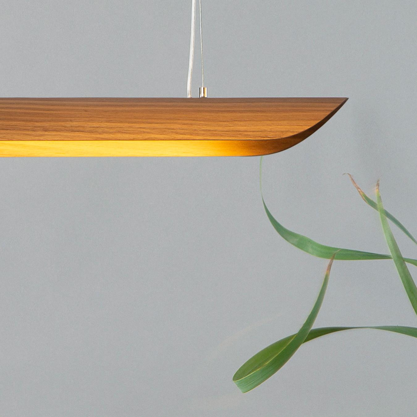 Canoe LED Light in Walnut Veneer (Transparent Cable)