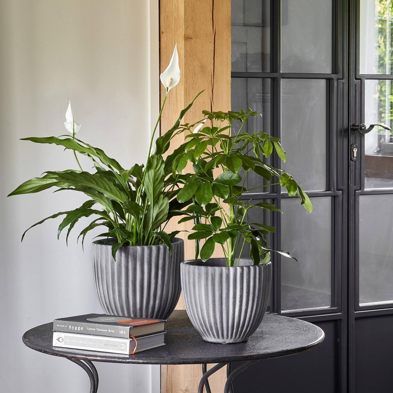 Lagos Planter - Anthracite by Ivyline