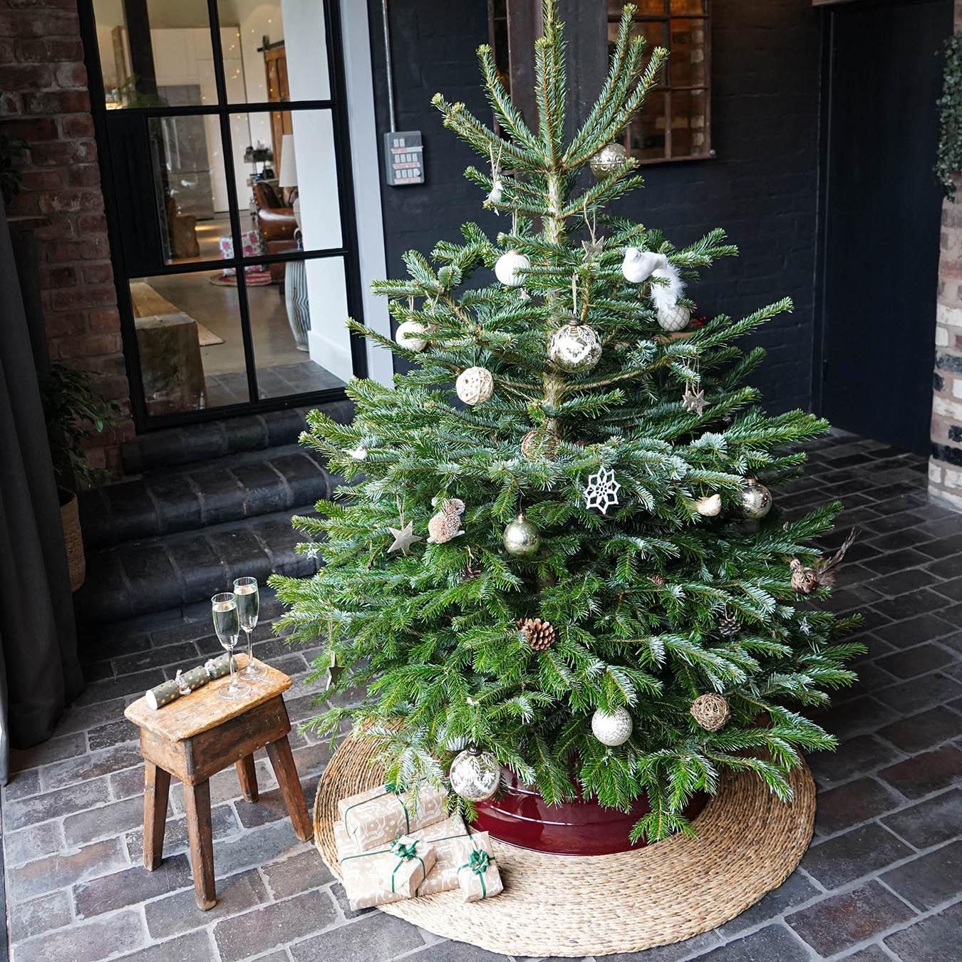 Christmas Tree Mat - Seagrass by Ivyline