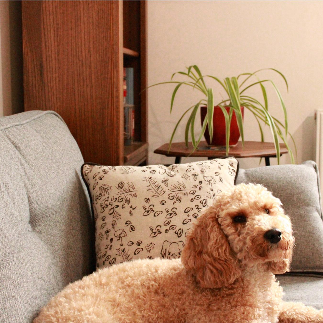 Linen Cushion Cover - Safari by Milly Sands