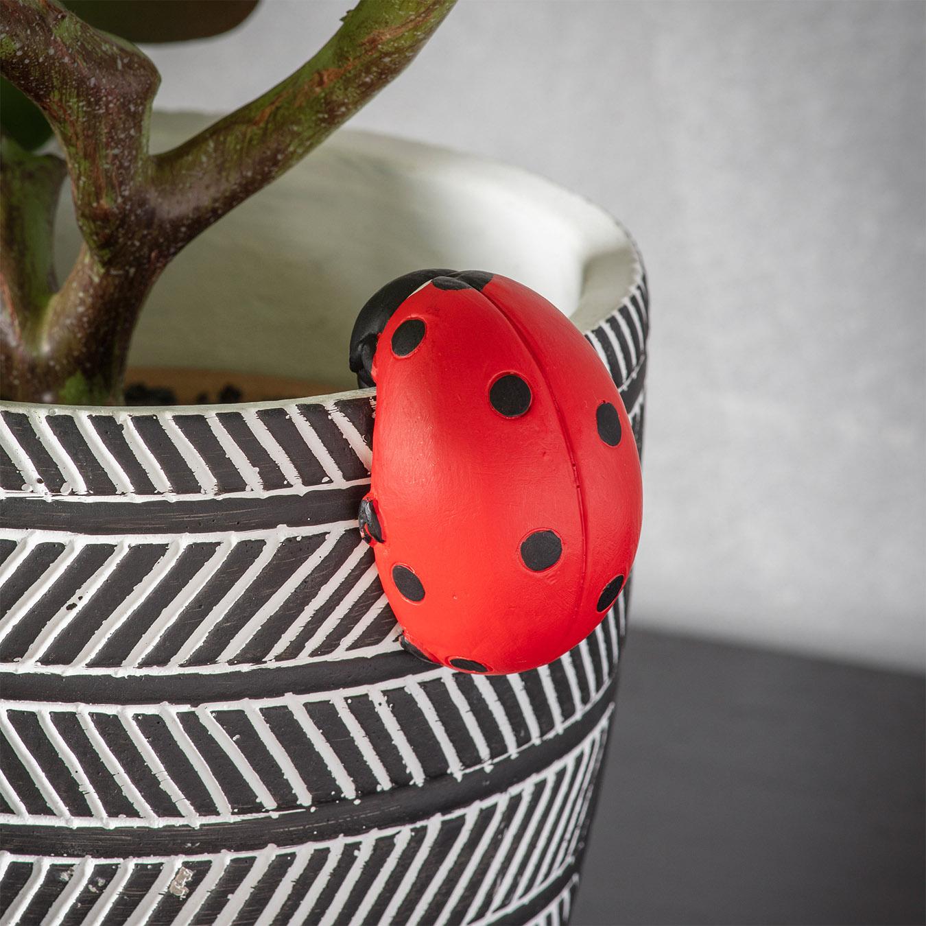 Red & Black Ladybird Pot Hangers - Set of 2 by E.S. Designs