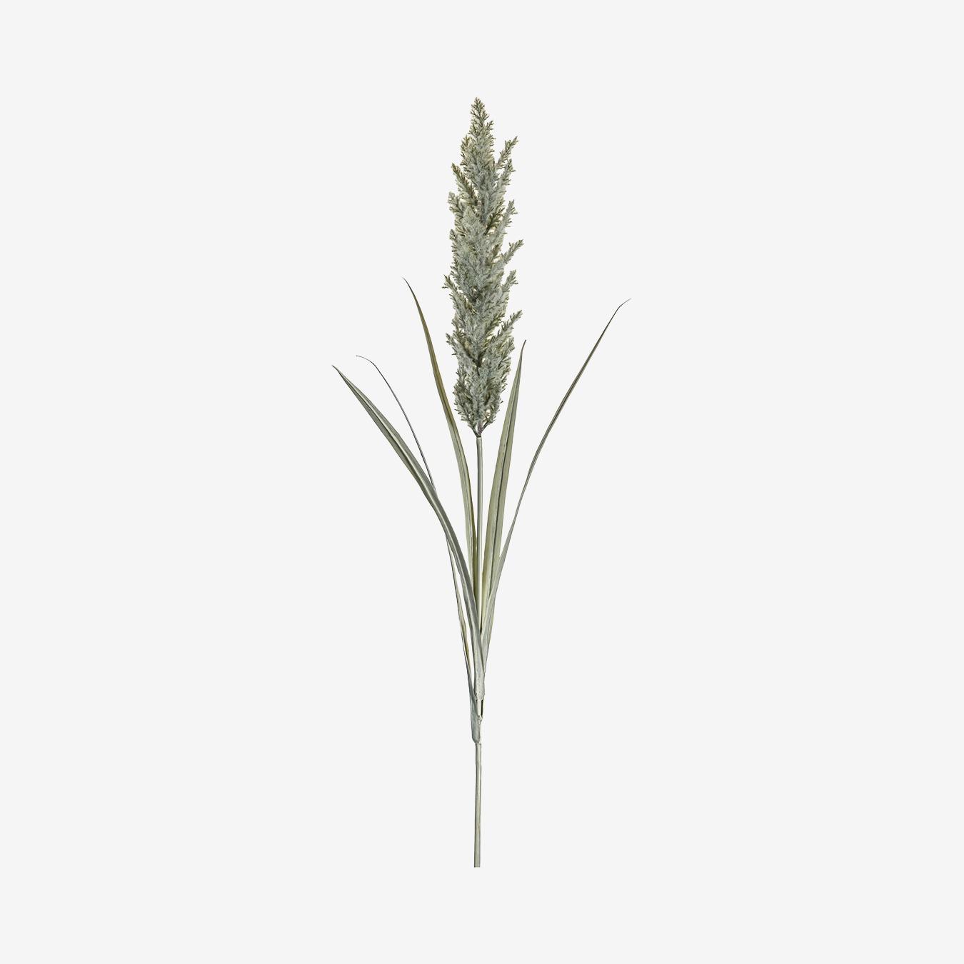 Ivory Pampas Spray by E.S. Designs
