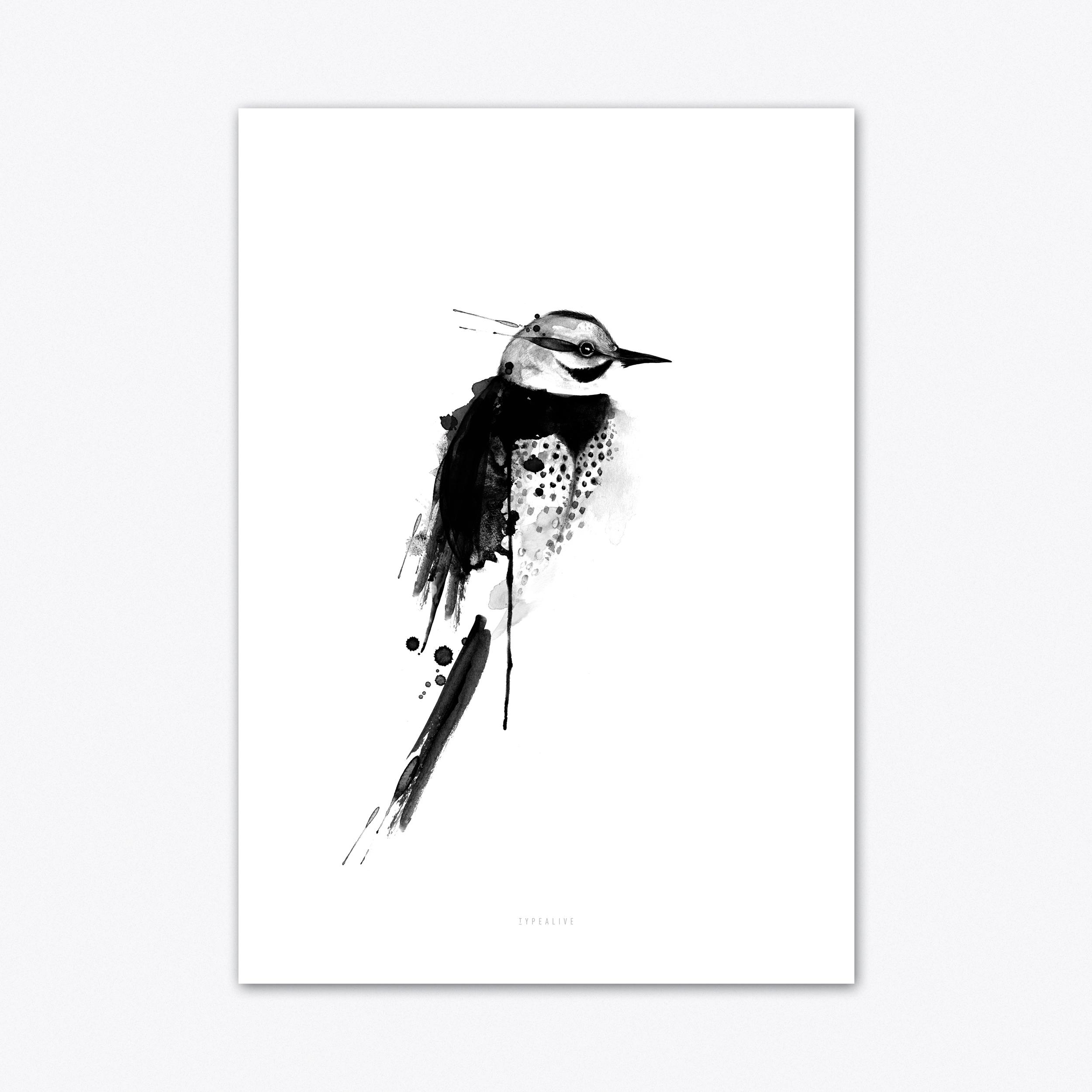 Birdy 5 Art Print by Type Alive