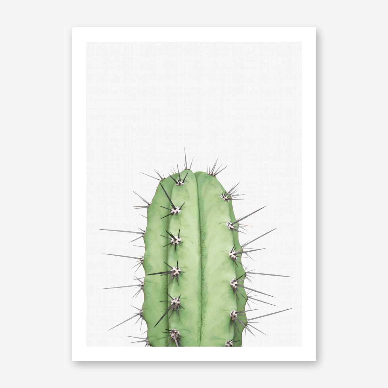 Cactus 2 Art Print by Vivid Atelier
