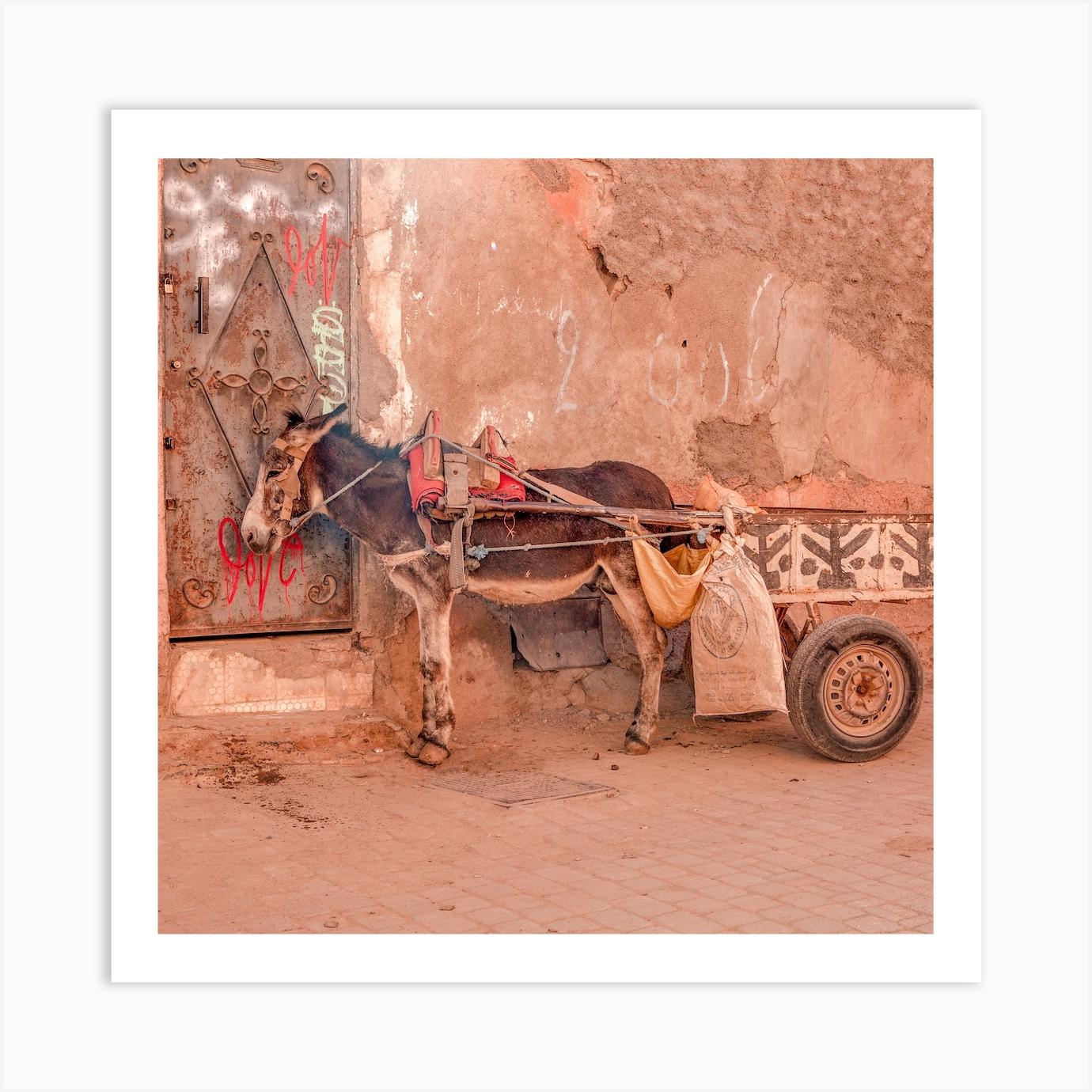 Moroccan Donkey Square Art Print by Travel Art Wall Prints