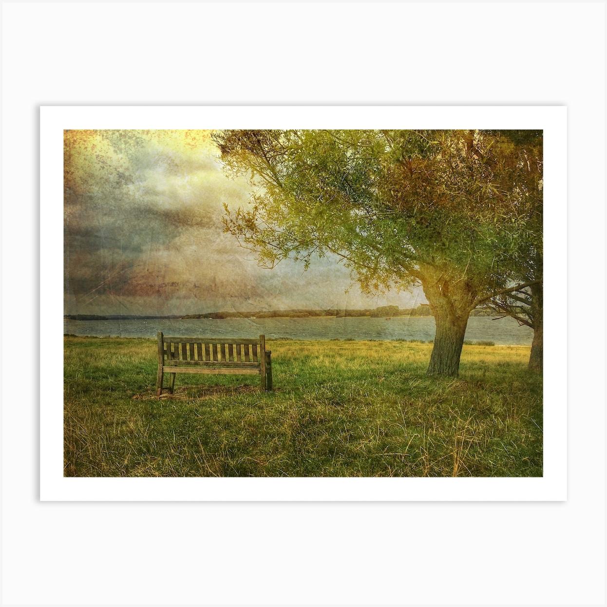 Bench By The Water Art Print by Paul J Bucknall
