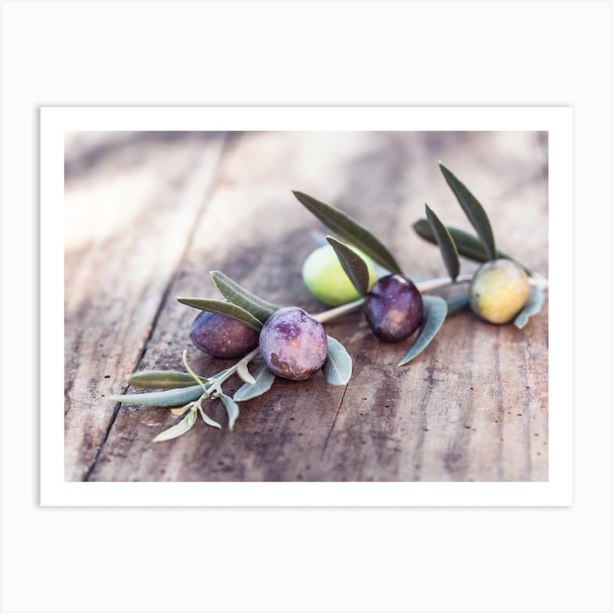 Green and black olive fruits branch on rustic wooden table mediterranean culture Art Print by imagine