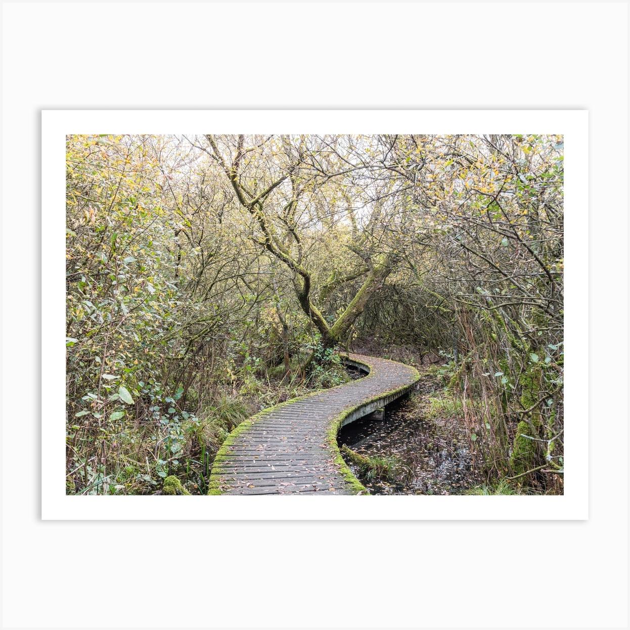 Walking On Shelves In Autumn Art Print by Photolovers