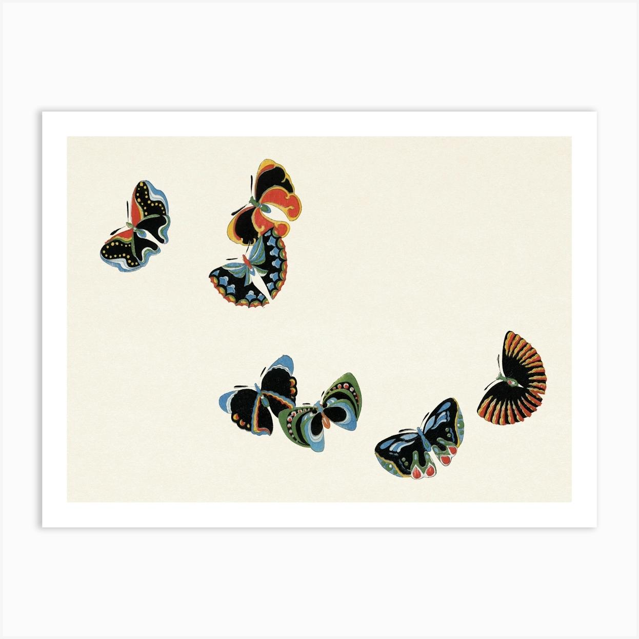Japanese Woodblock Butterfly, Cho Senshu Art Print by Fy! Classic Art Prints and Posters