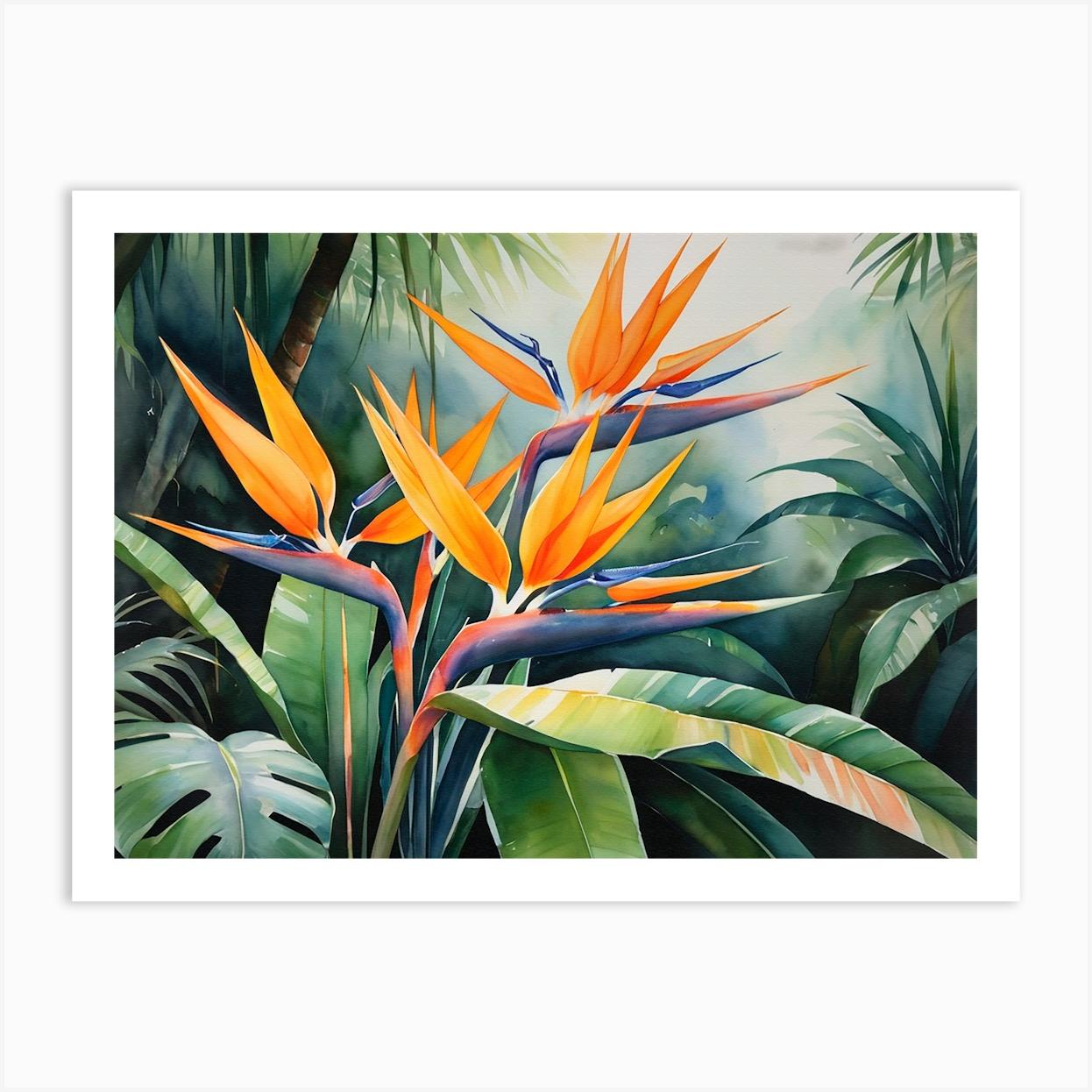 Strelitzia Flowers Poster