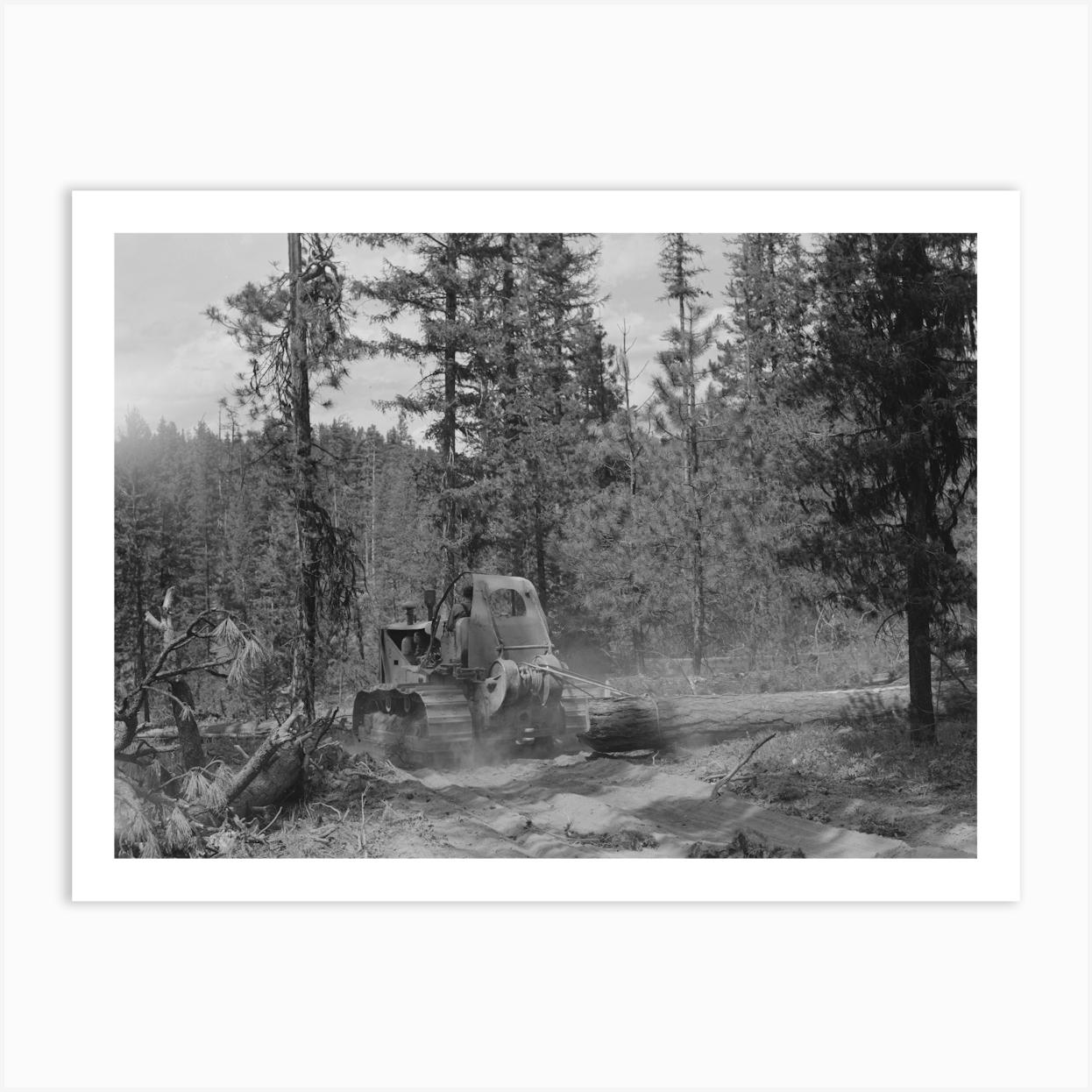 Grant County, Oregon, Malheur National Forest, Diesel Caterpillar Tractor Snaking Logs Out Of Woods By Russell Lee 1 Art Print by Fy! Classic Art