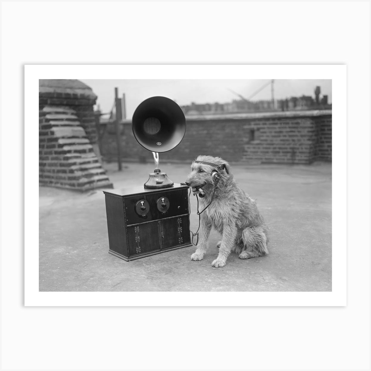 Dog Listening To Music, Dog With Radio, Vintage Black and White Old Photo Art Print by Vibrant Vintage