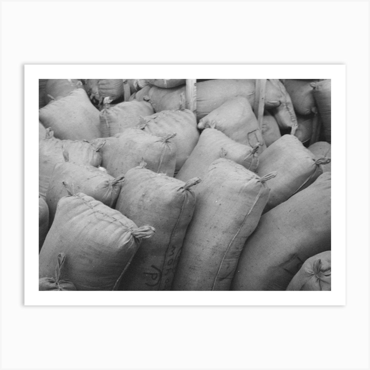 Untitled Photo, Possibly Related To Sacks Of Mohair In Storage At The Warehouse Of The Kimble Wool And Art Print by Fy! Classic Art Prints and Posters