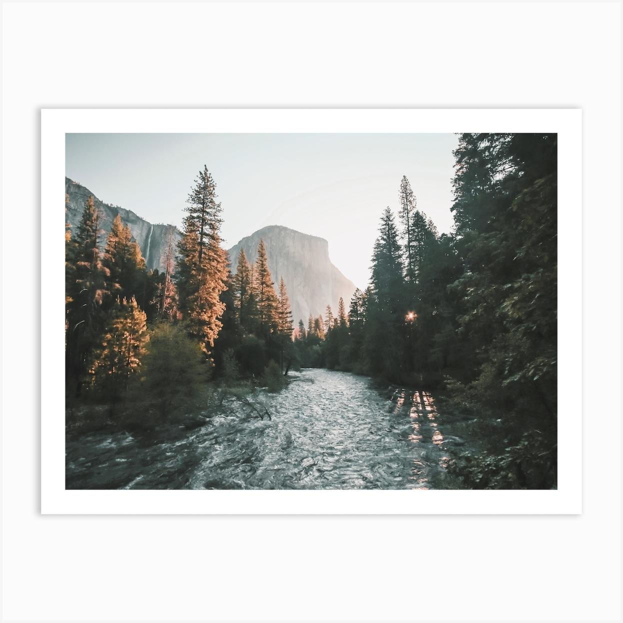 Yosemite Forest Creek Art Print by Inkish Prints