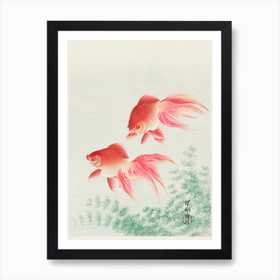 Kawarimono Koi Fish Ukiyo E Style Japanese Art Print by Koi