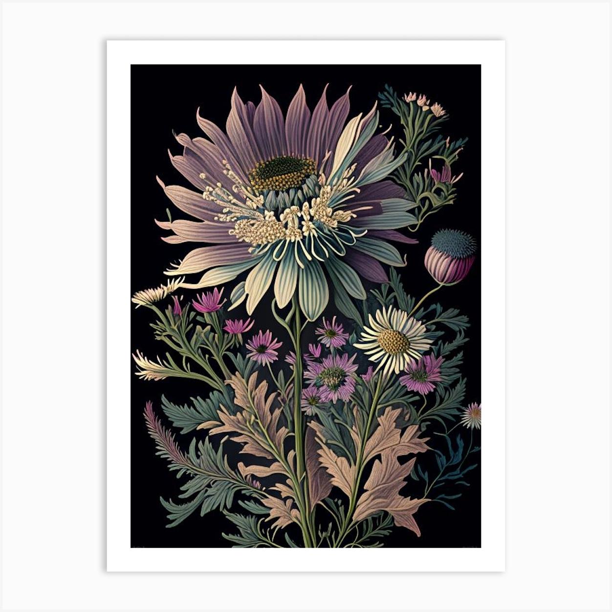 Asters Wildflower Vintage Botanical 2 Art Print by Wildflower Studio