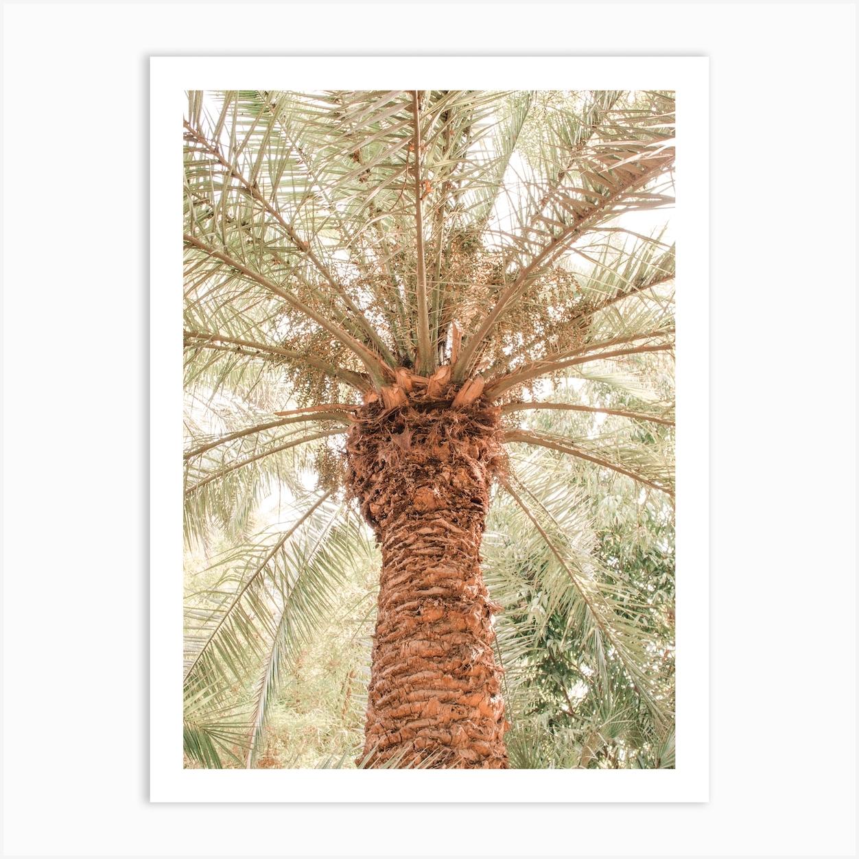 Tropical Palm Tree Art Print by Travel Art Wall Prints