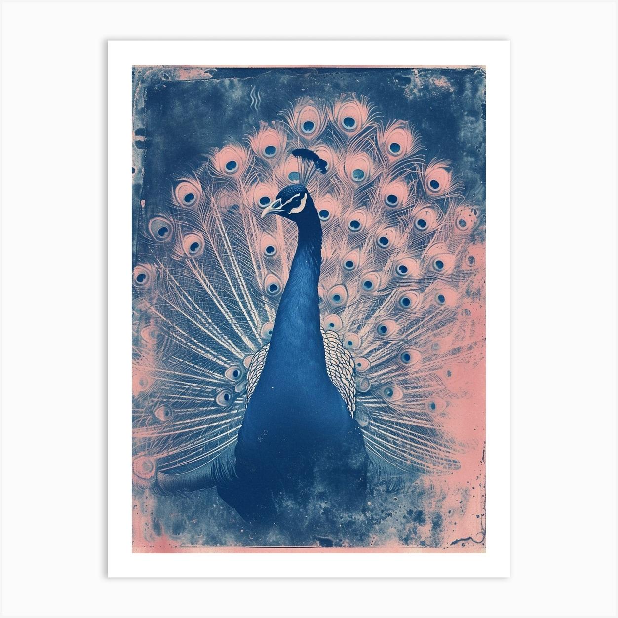 Pink & Blue Peacock Cyanotype Inspired Art Print by Featherline