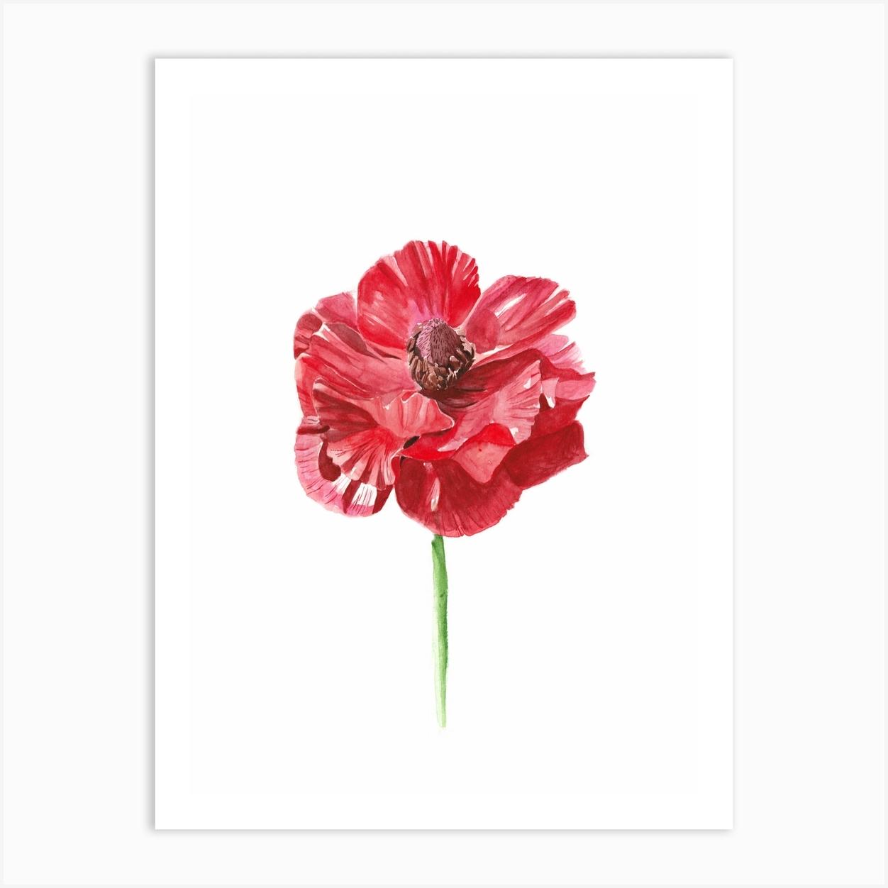 Anemone Red Flower Art Print by Just For Choux
