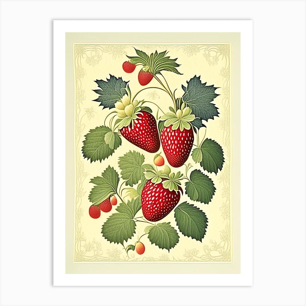 Day Neutral Strawberries, Plant, Vintage Botanical Art Print by Berry Fine Prints