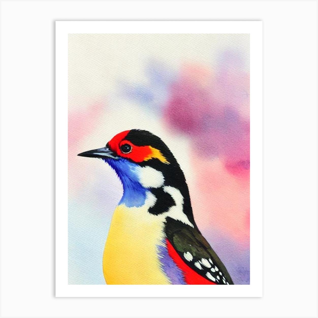 Woodpecker 2 Watercolour Bird Art Print by Featherline