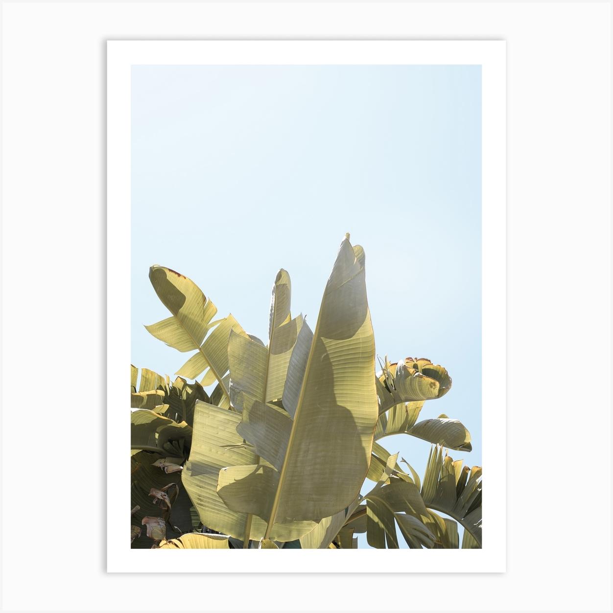 Tropical Banana Leaves Art Print by Henrike Schenk