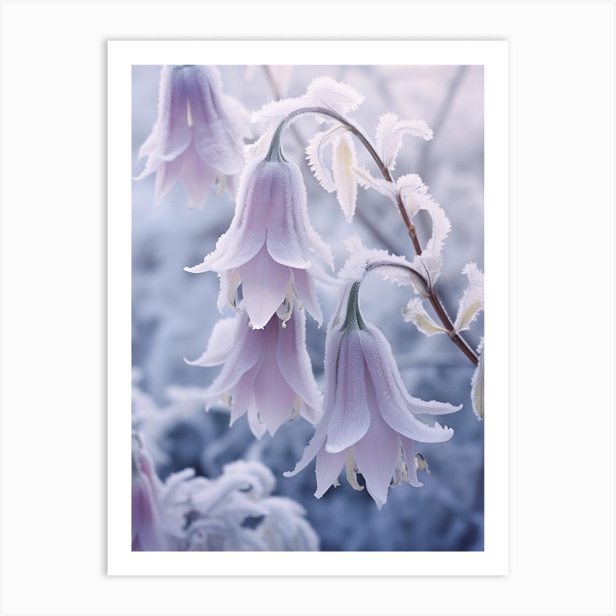 Frosty Botanical Canterbury Bells 2 Affiche