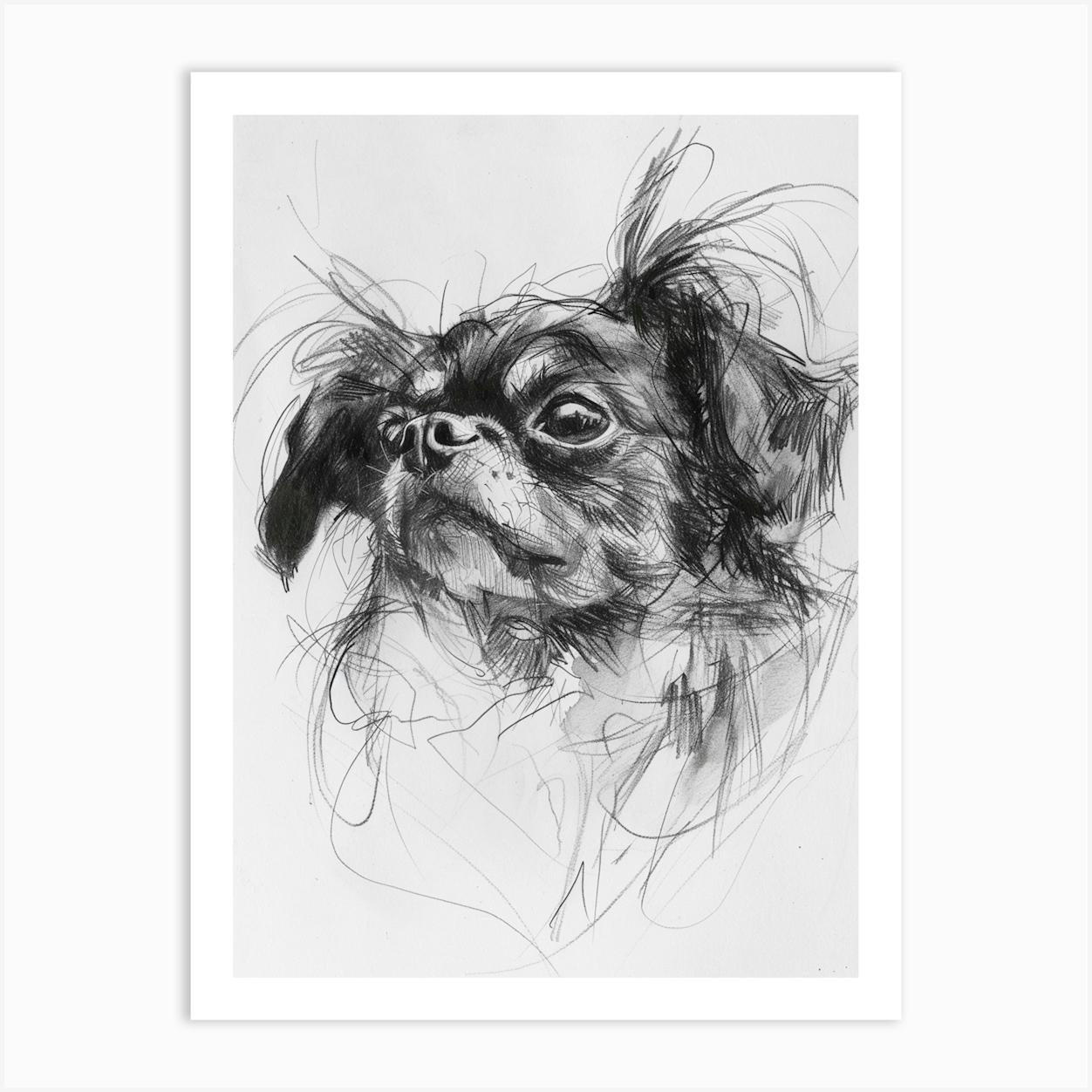 Tibetan Spaniel Dog Charcoal Line 2 Art Print by Woof and Whiskers