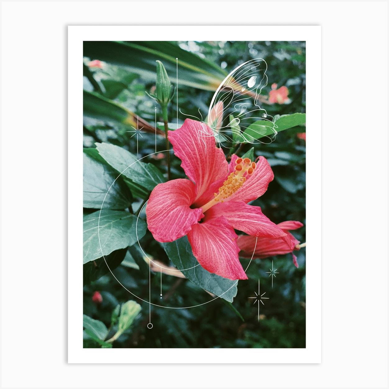 Hibiscus Bloom Art Print by Jade Chanel