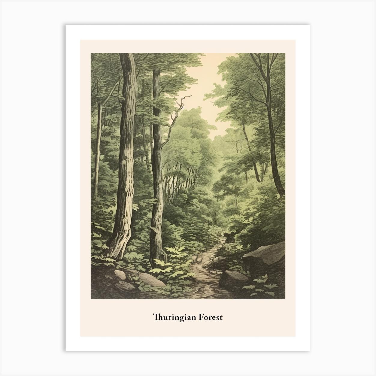Thuringian Forest Poster