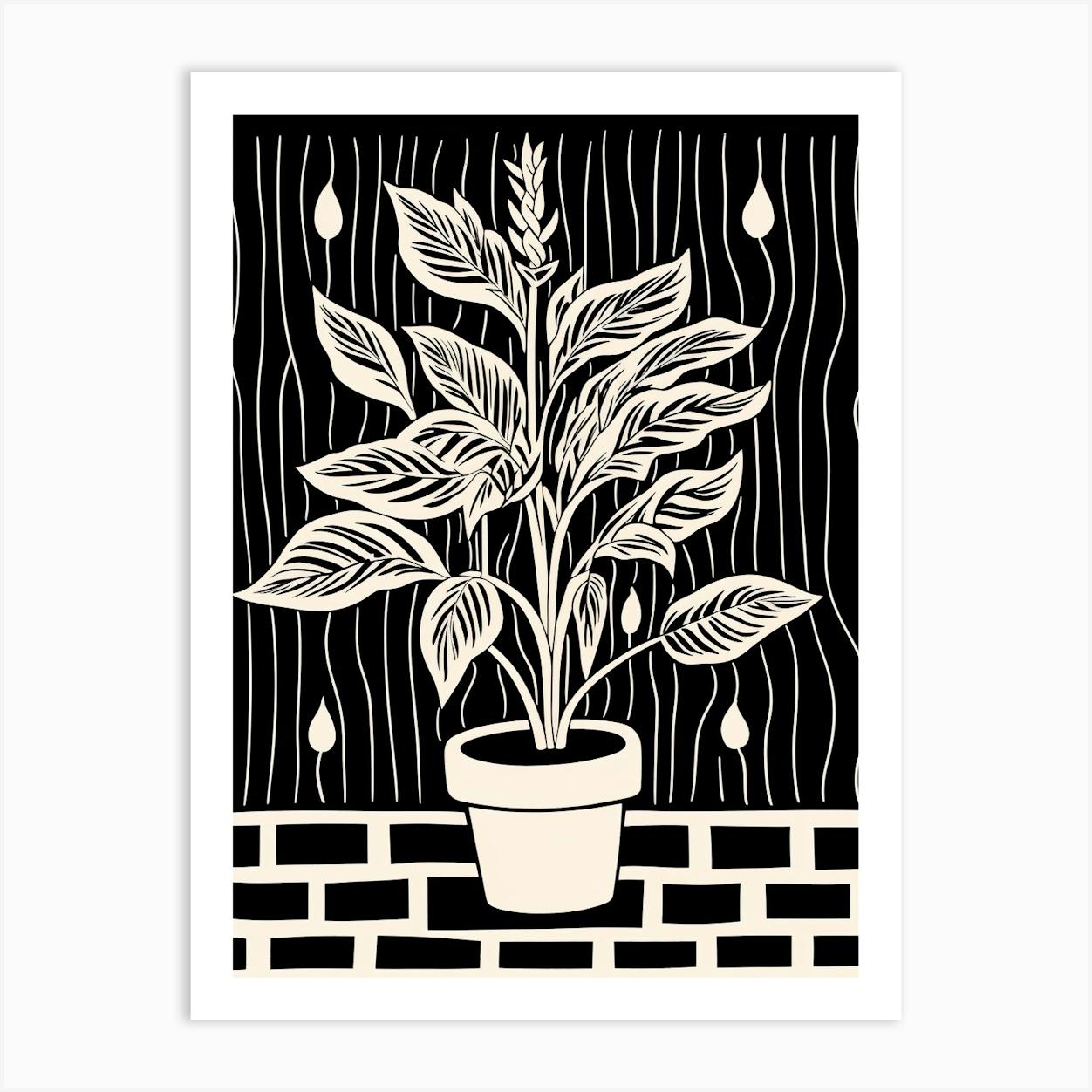 B&W Plant Illustration Cast Iron 2 Affiche