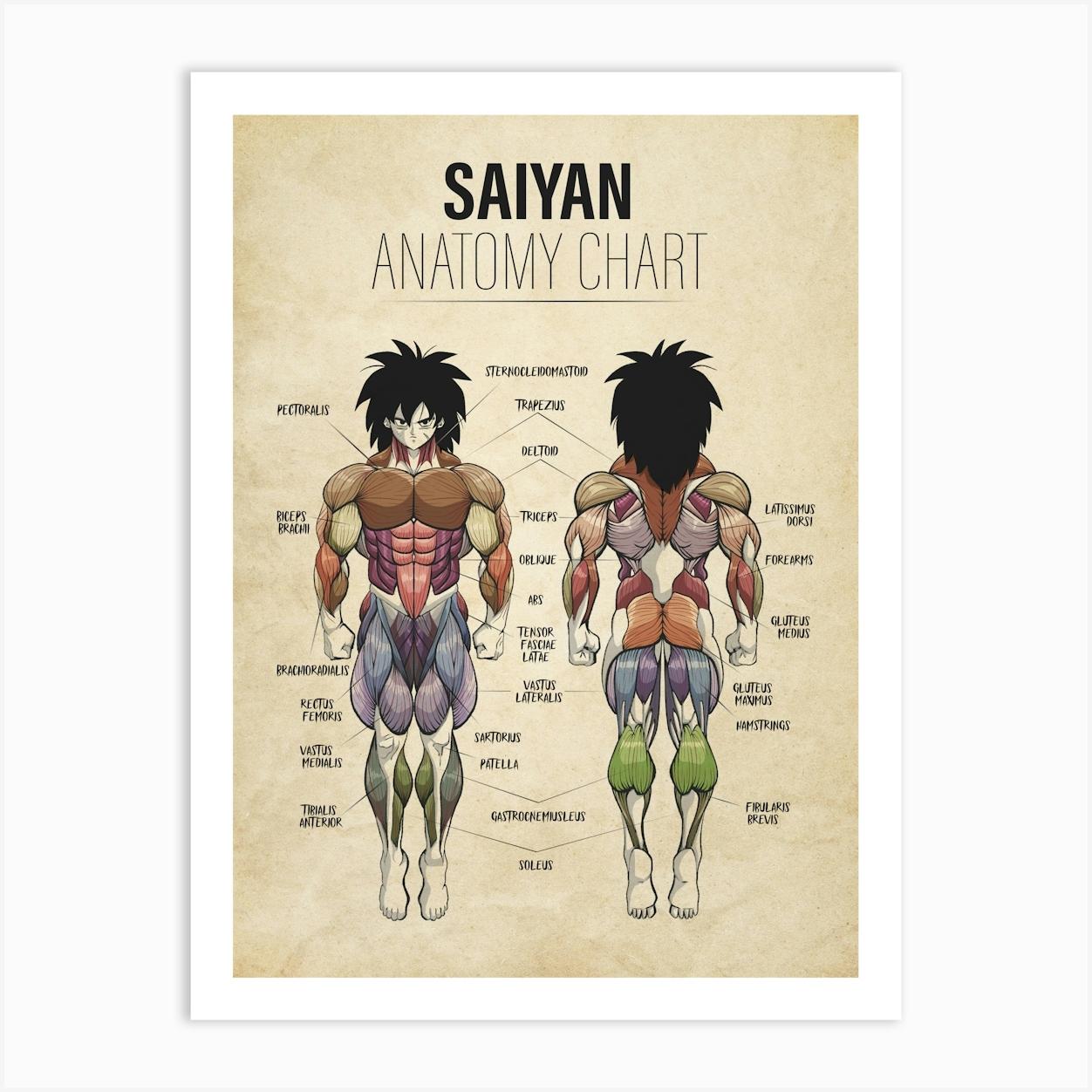 Broly Anatomy Dragon ball Super Vintage Affiche
