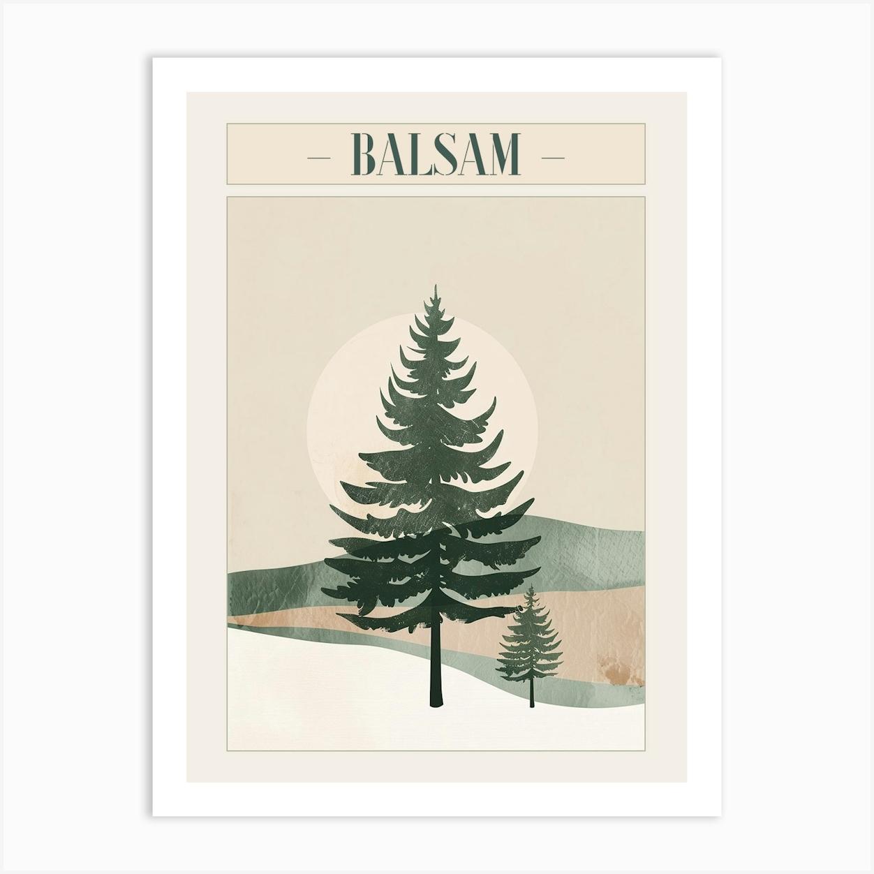 Balsam Tree Minimal Japandi Illustration 4 Poster Art Print by Bough And Bloom Artistry