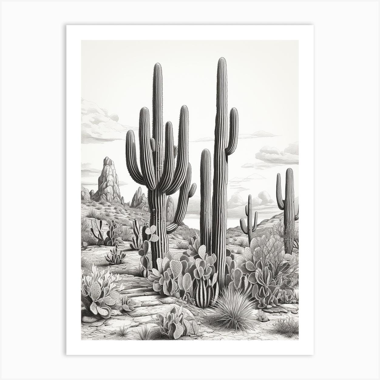 Vintage Cactus Illustration Organ Pipe Cactus B&W Art Print by Botanic Studio
