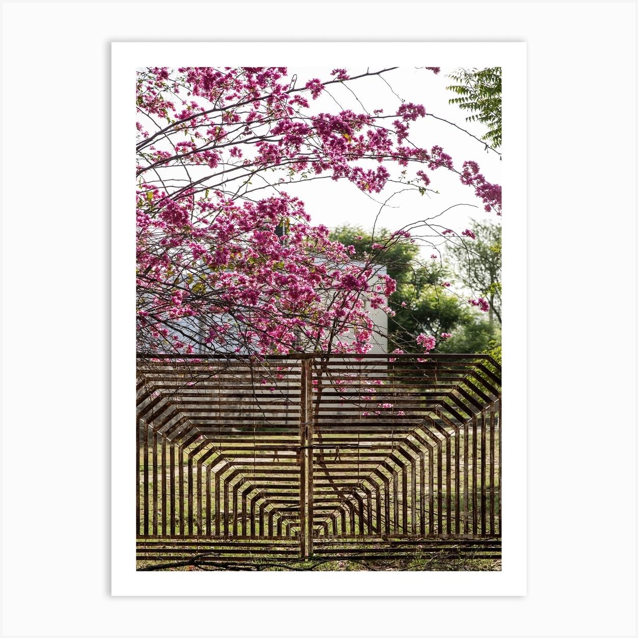 Garden Gate Art Print by Shot by Clint