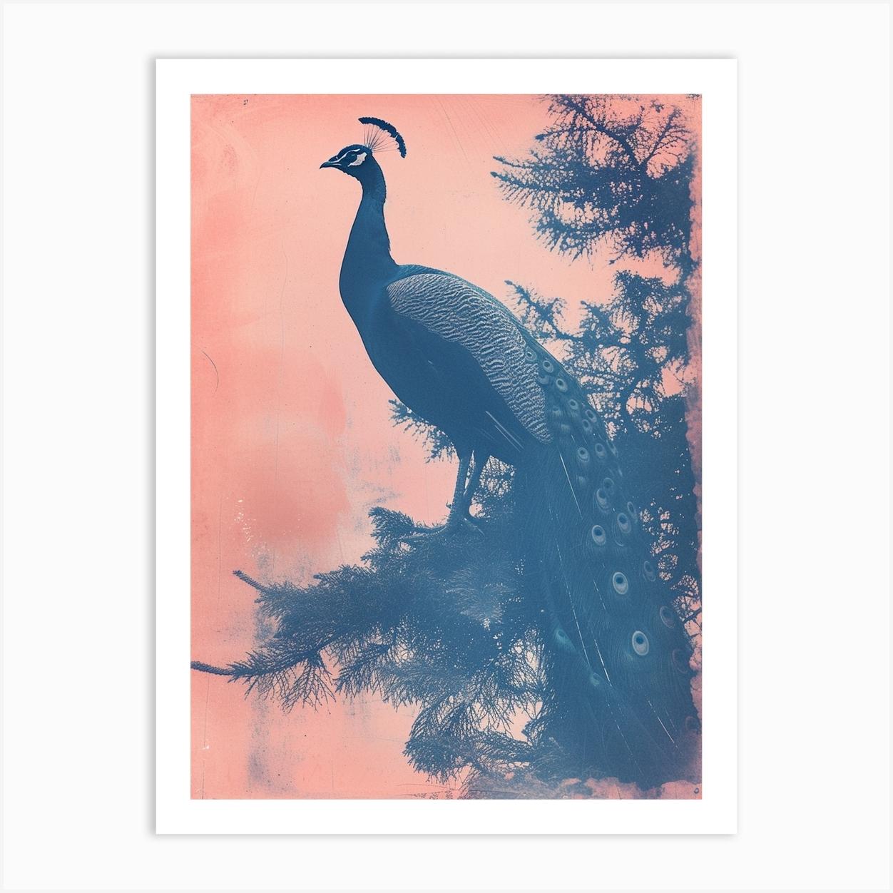 Pink & Blue Peacock Portrait Cyanotype Style 2 Art Print by Featherline