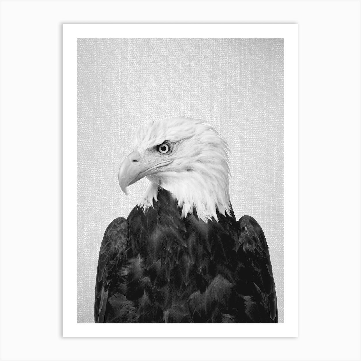 Eagle - Black & White Art Print by Gal Design