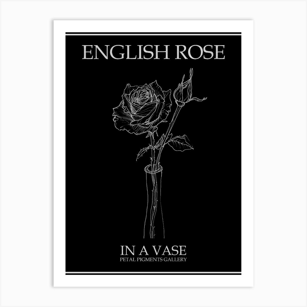 English Rose In A Vase Line Drawing 1 Poster Inverted Art Print by Petal Pigments