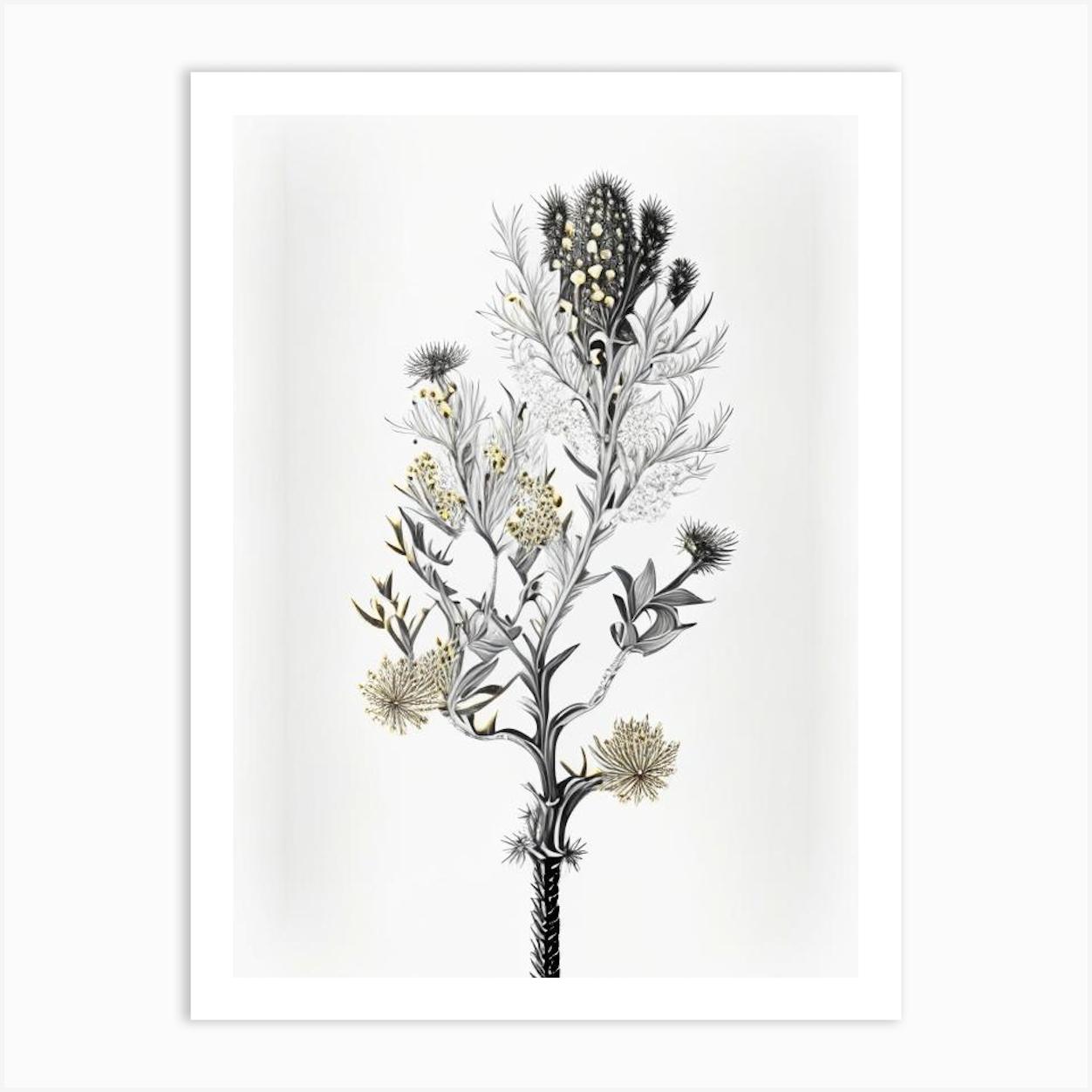Silver Torch Joshua Tree Gold And Black (6) Art Print by Arboreal Impressions