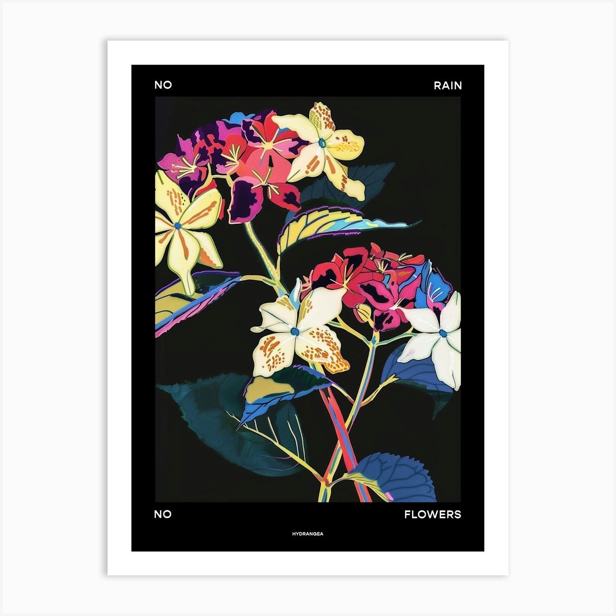 No Rain No Flowers Poster Hydrangea 4 Art Print by Botanic Studio