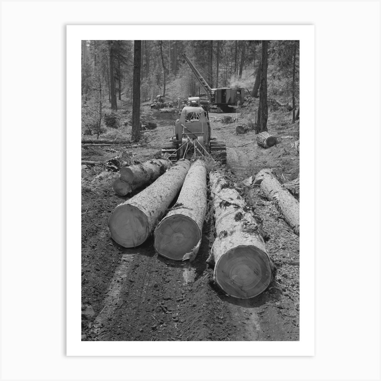 Untitled Photo, Possibly Related To Grant County, Oregon, Malheur National Forest , Diesel Caterpillar Tractor Snakin Art Print by Fy! Classic Art