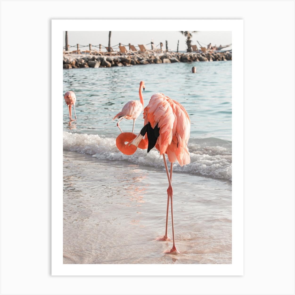 Flamingo Beach Art Print by Henrike Schenk