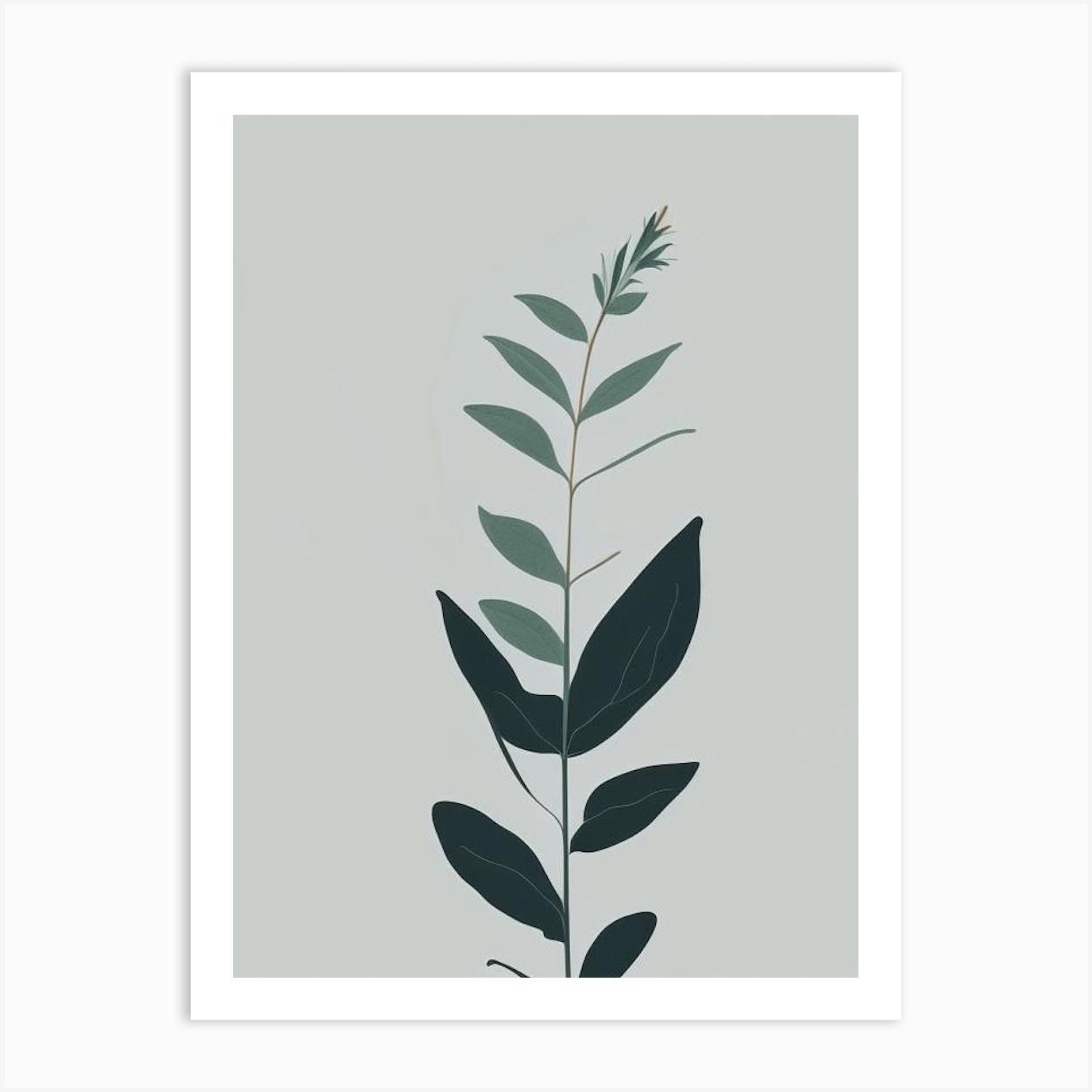 Comfrey Herb Simplicity Art Print by Herbaceous Hues