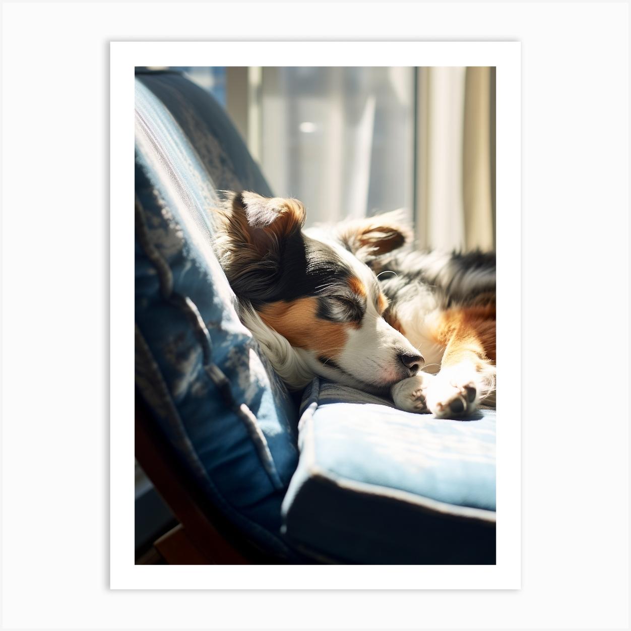 Dog Sleeping On A Chair Art Print by Mechelle Flowers