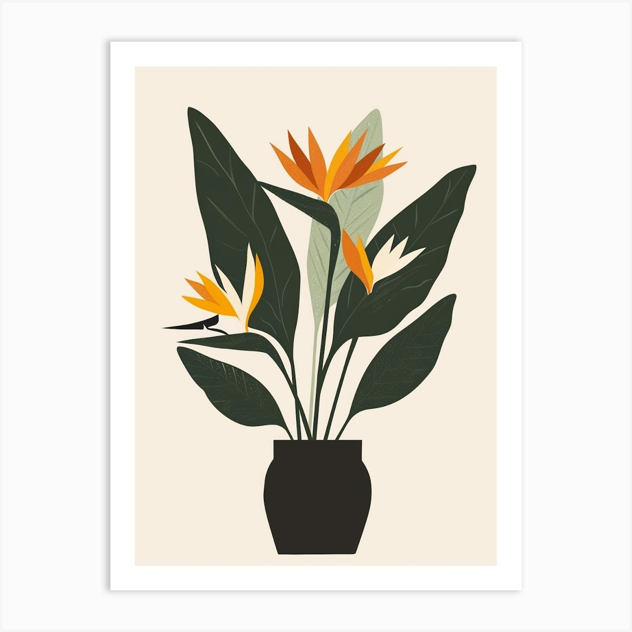 Bird Of Paradise Plant Minimalist Illustration 1 Affiche