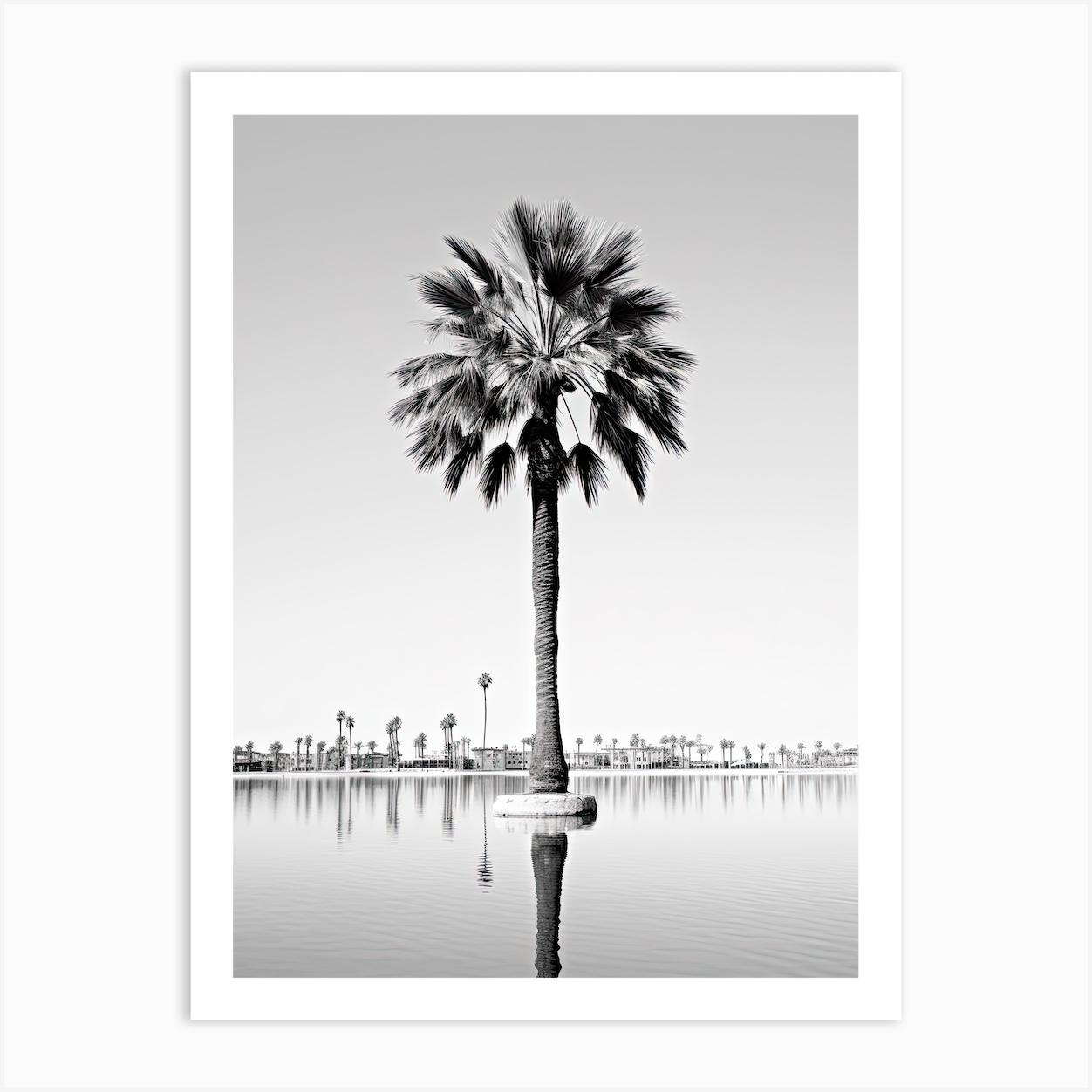 Palma De Mallorca, Spain, Black And White Photography 4 Art Print by Monochrome Vistas