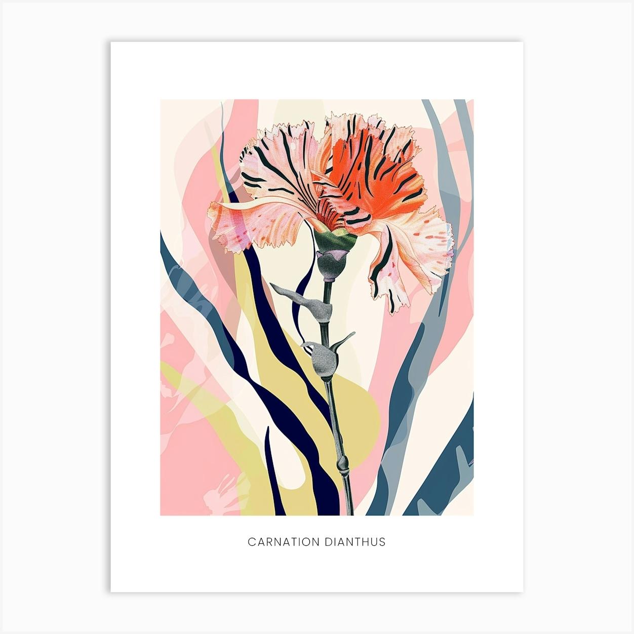 Colourful Flower Illustration Poster Carnation Dianthus 3 Art Print by Botanic Studio