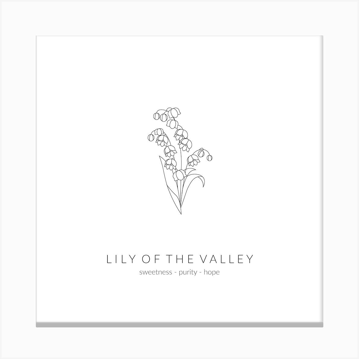 Lily Of The Valley Birth Flower Square Canvas Print by Saskia Lucy