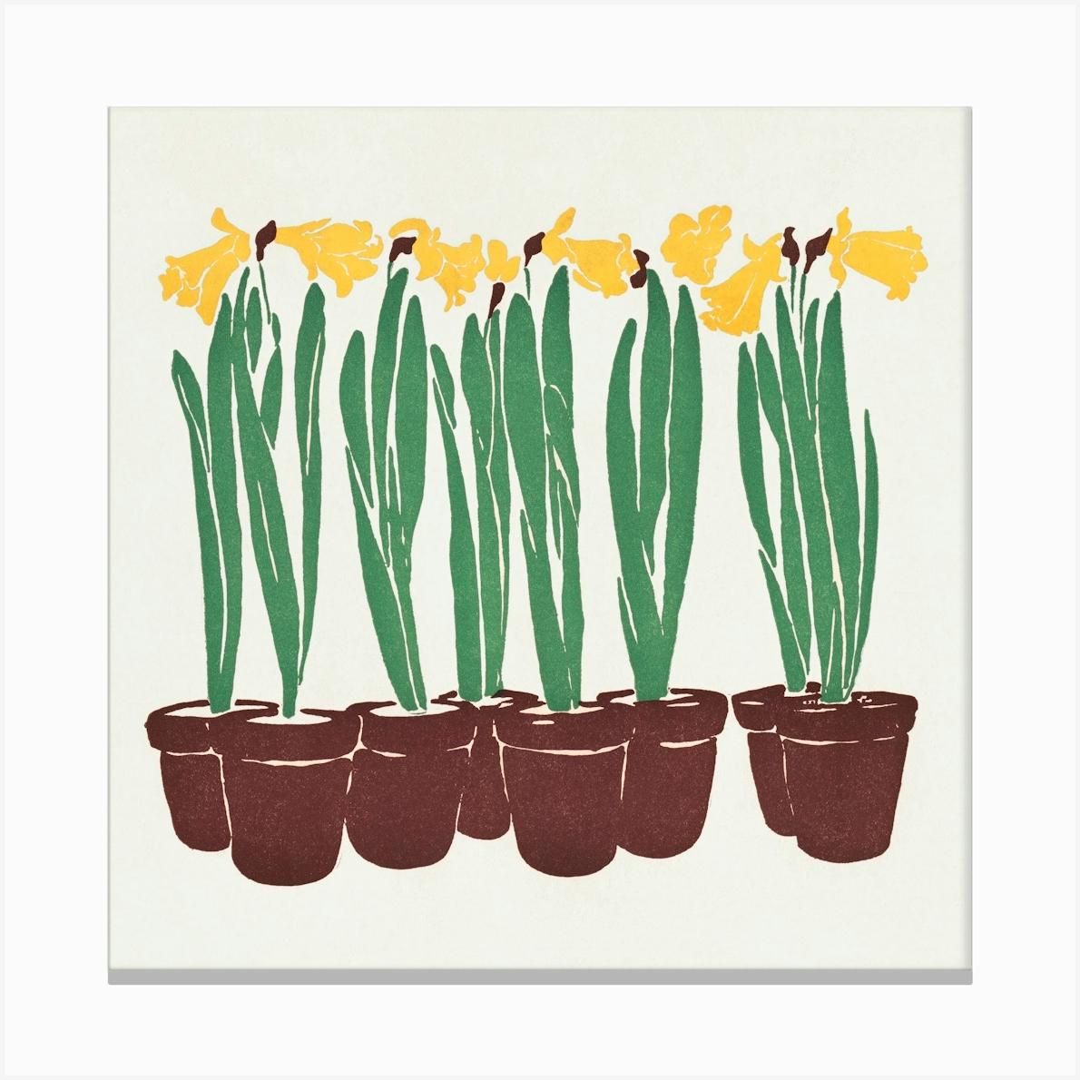 Vintage Flower Illustration (1899), Edward Penfield Canvas Print by Fy! Classic Art Prints and Posters